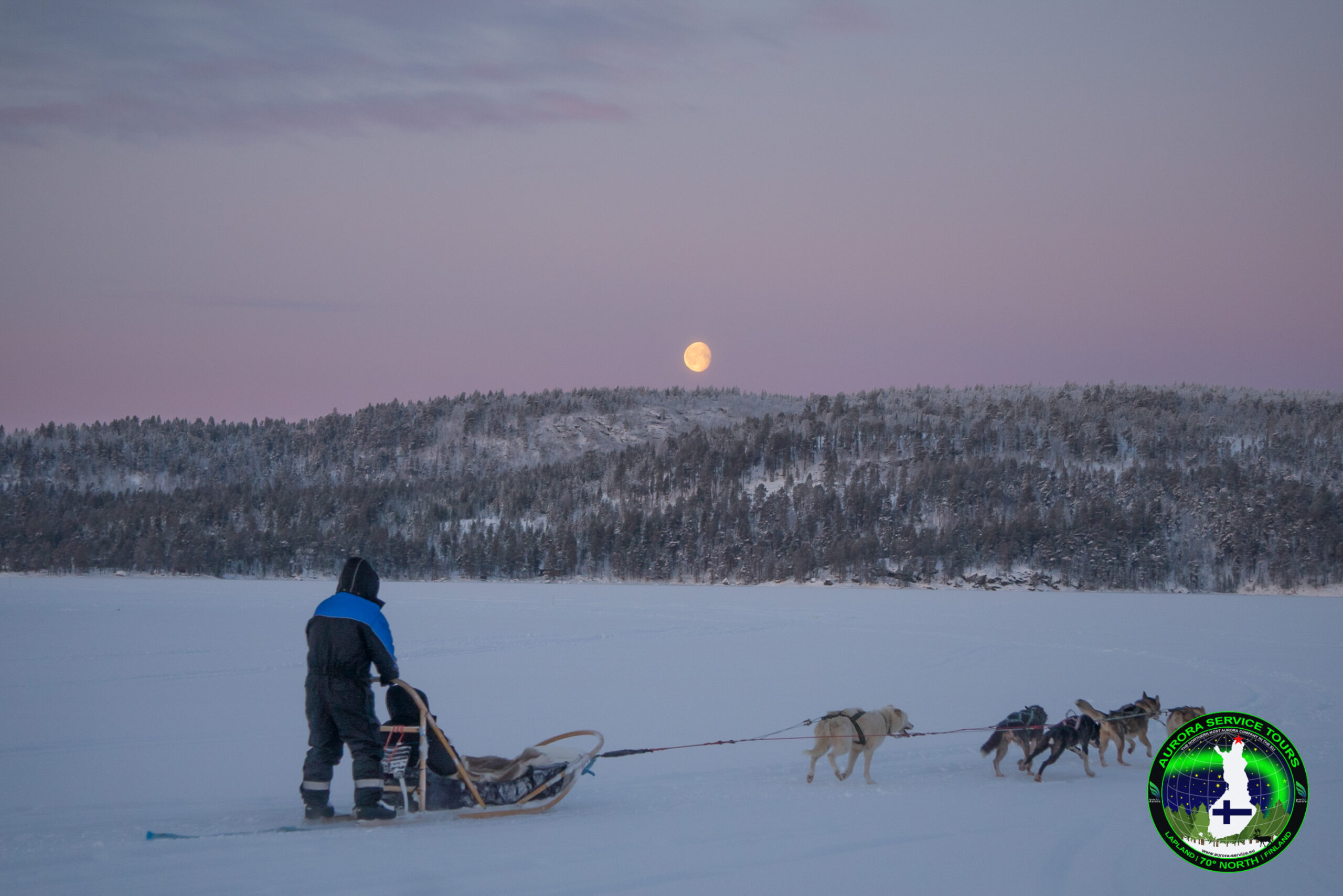 Dog sledding tour in Lapland